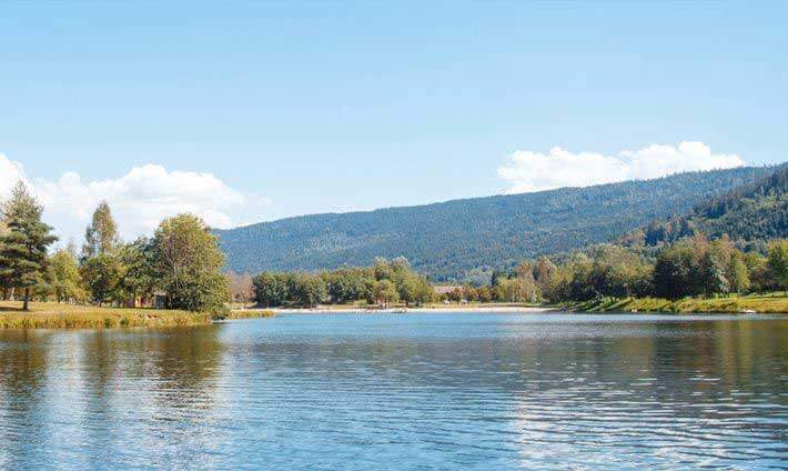 Vue du lac de Saulxures depuis la rive