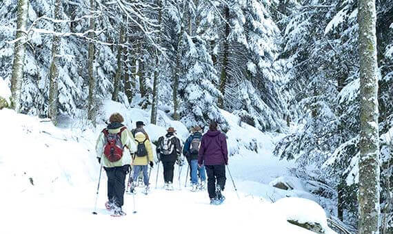 Groupe de randonneurs en raquette sous la neige dans la forêt