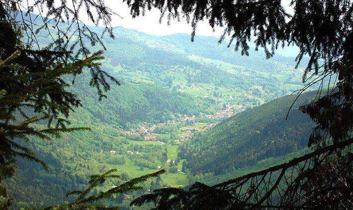 Vue d’une vallée en Alsace entre les sapins depuis le sentier des roches