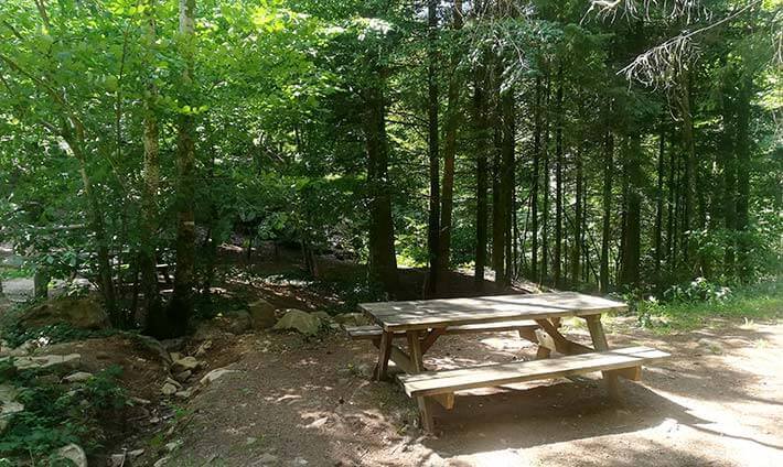 Table de pique-nique en bois à l’ombre sur le chemin des cascades de Tendon