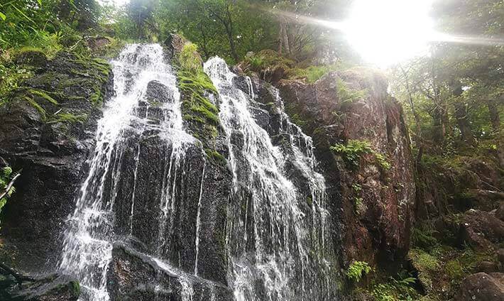 Grande cascade au milieu de la forêt