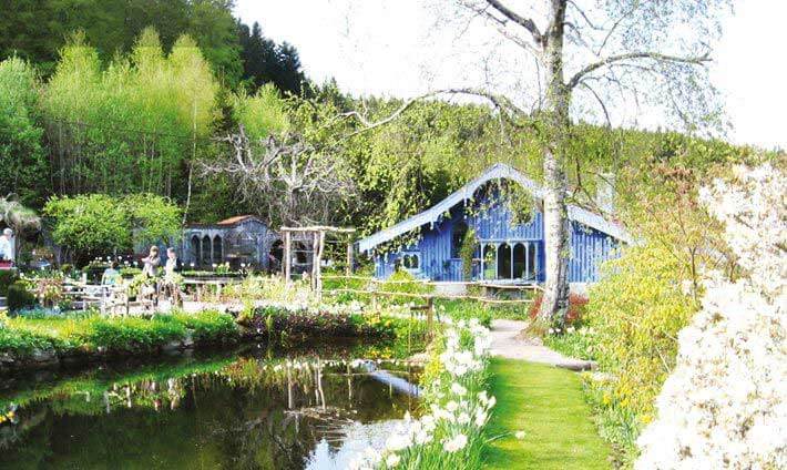 Petit étang au milieu de l’herbe et maisonnette bleue au fond type chalet