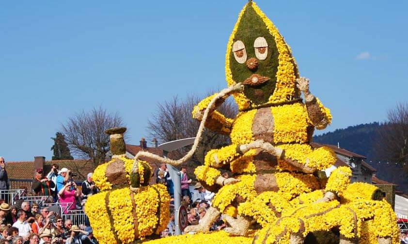 Chenille de Alice aux pays des merveilles en jonquilles