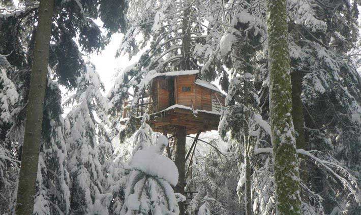 Cabane en bois dans un arbre sous la neige