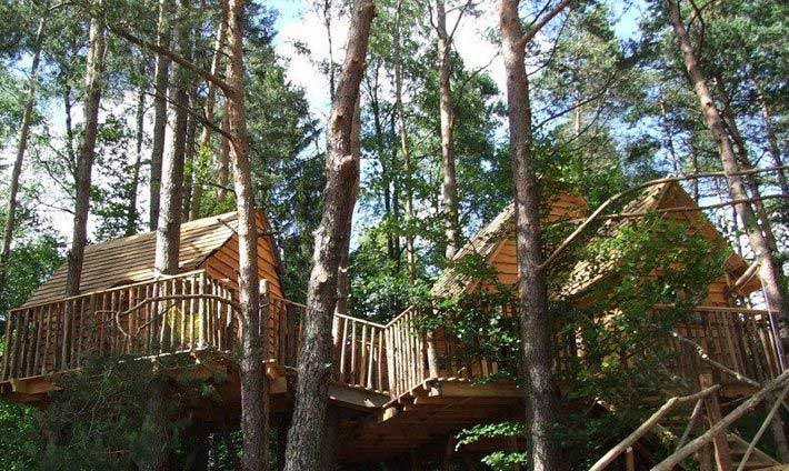 Deux grandes cabanes au milieu de la forêt