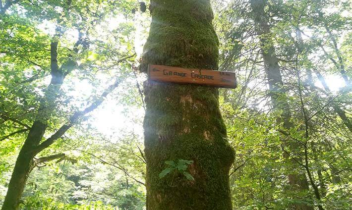 Pancarte en bois sur un arbre vers la grande cascade de Tendon environ 30 min