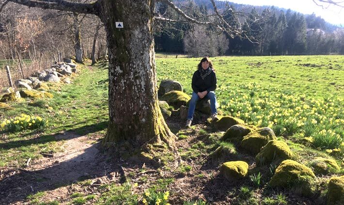 Au milieu d’un champ de jonquilles, Sandrine est assis au pied d’un arbre