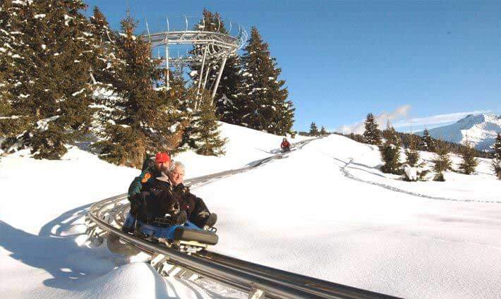 Descente d’une luge sur rail sur le versant enneigé de la Schlucht