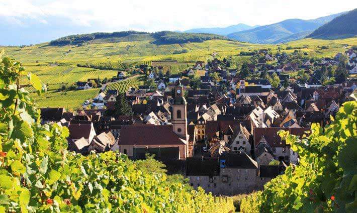 Petit village alsaciens bordé de vigne