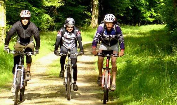 3 vtt qui descendent un chemin de forêt